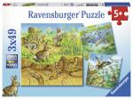 Ravensburger Puzzle 3x49 Teile Tiere - Tiere in ihren...