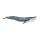 Schleich Wild Life Blauwal 4055744020742