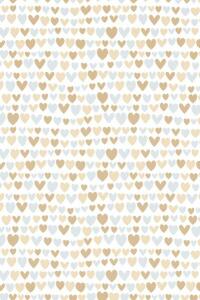 Geschenkpapier 70cmx1,5m Nicoletto