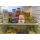 Diätschweinchen für den Kühlschrank,
