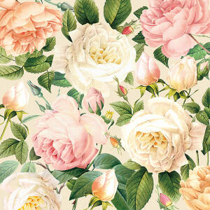Servietten 25x25cm 20 St. Gloria