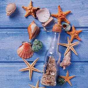 Servietten 33x33cm 20 St. Glas Bottle - .# Maritim .#M