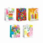 Geschenktasche bunt Large 26x32x12cm 5fach - Serie...