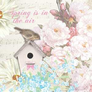 Servietten 20er FSC-Mix 24x24cm Bird house