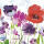 Motivserviette 25x25cm Mohn HOME F. 112026