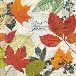 Motivserviette 33x33cm Herbst Blätter PAPER+DESIGN...