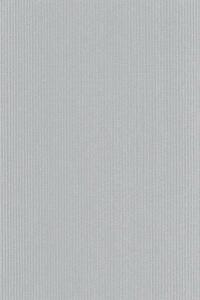 Geschenkpapier 70cmx2m Uni Natura silber