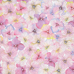 Serviette 33x33cm FSC-Mix 20 St., Small blossoms