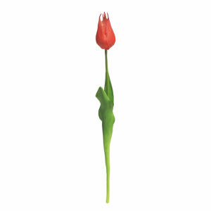 Tulpe Sally pink 45cm