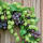 Motivserviette 33x33cm Herbst STEWO 2572 6077 45  3lag