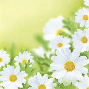 Serviette 33x33cm 20 St.White Daisies