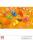 Trillerpfeifen 4er Set 4 Farben sort.
