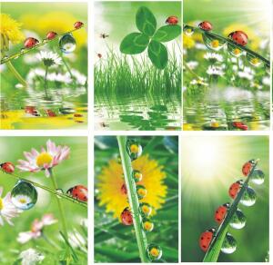 Glückwunschkarten 100er Blumen blanko 6fach - sortiert