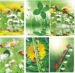 Glückwunschkarten 100er Blumen blanko 6fach - sortiert