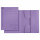 LEITZ 3924 Jurismappe A4 PendarecKarton 430g violett