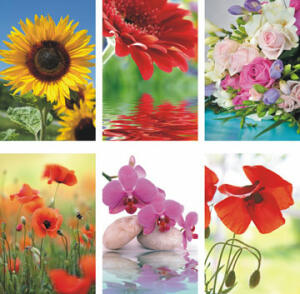 Glückwunschkarten 100er Blumen blanko 6fach - sortiert