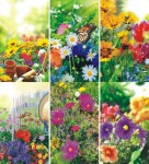 Glückwunschkarten 100er Blumen blanko 6fach - sortiert