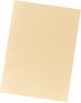 Falken Falken Aktendeckel - A4, chamois, Manilakarton 250 g/qm