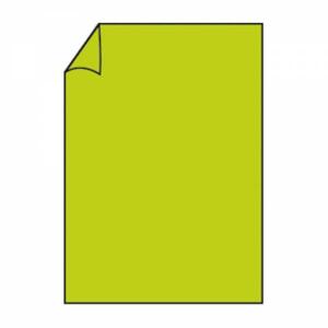 Briefbogen A4 80g 10ST hgrün COLORETTI 220701522