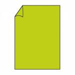 Briefbogen A4 80g 10ST hgrün COLORETTI 220701522