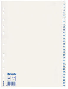 LEITZ Plastikregister 131 A4 weiß Economy
