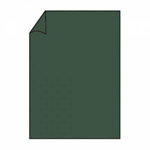 Briefbogen A4 80g 10ST forest COLORETTI 220701571