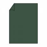 Briefbogen A4 80g 10ST forest COLORETTI 220701571