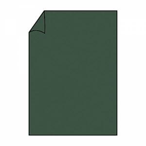 Briefbogen A4 165g 10ST forest COLORETTI 220726571