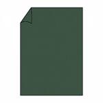 Briefbogen A4 165g 10ST forest COLORETTI 220726571