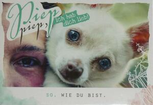 Minikarte Klappkarte Motiv 6, "Piep Piep" Hund