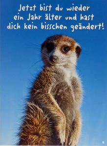 Glückwunschkarte Tiere Motiv 6028-A-18