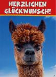 Glückwunschkarte Tiere Motiv 6028-A-27