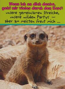 Glückwunschkarte Tiere Motiv 6028-A-28