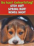 Glückwunschkarte Tiere Motiv 6028-A-42