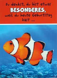 Glückwunschkarte Tiere Motiv 6028-A-11