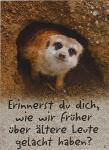 Glückwunschkarte Tiere Motiv 6028-A-37