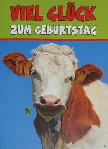 Glückwunschkarte Tiere Motiv 6028-A-41