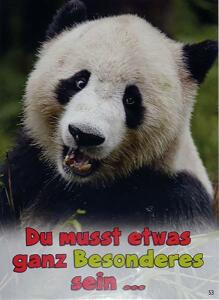 Glückwunschkarte Tiere Motiv 6028-A-53