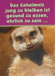 Glückwunschkarte Tiere Motiv 6028-A-55