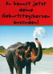 Glückwunschkarte Tiere Motiv 6028-A-08