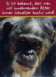 Glückwunschkarte Tiere Motiv 6028-A-54