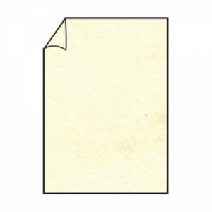Briefbogen A4 80g 10ST chamois COLORETTI 220701506
