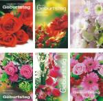 Glückwunschkarten 100er Geburtstag 6fach sortiert