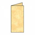Coloretti Karten 5 Stück DL Sandgelb