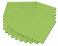 Fotokarton A4  hellgrün FOLIA 614/50 51 300g