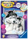 Malen nach Zahlen Bild 180x240mm Husky Kuss -...