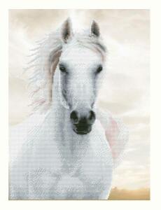 Diamond Dotz weißer Hengst 48 x 65 cm