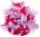 Deco-Federn rosa sortiert 10 g