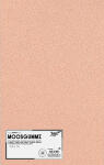 Moosgummi 2mm chamois FOLIA 231010  20x29cm