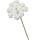 GLOREX Diorröschen 12 Blüten weiss